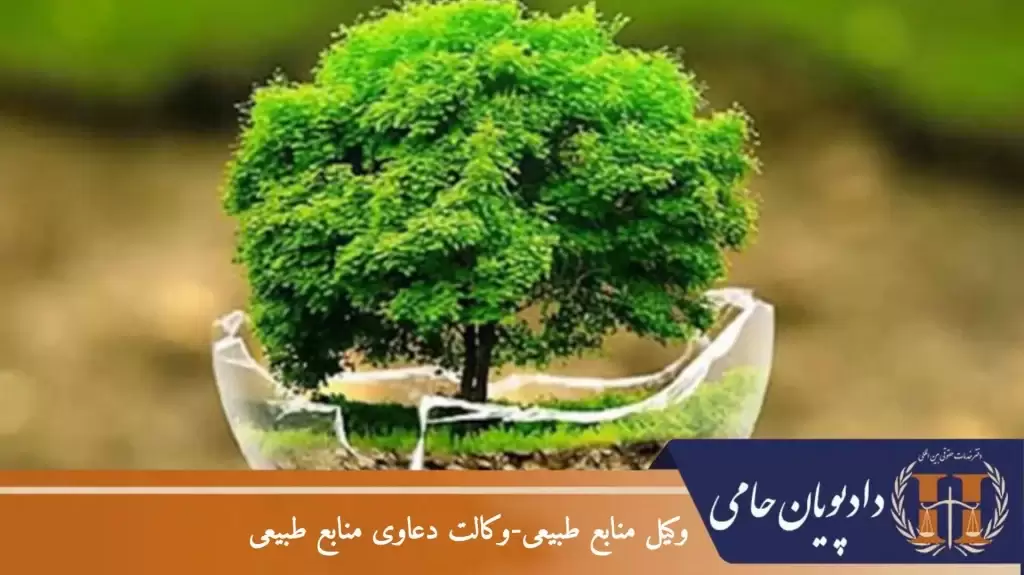 وکیل منابع طبیعی – وکالت دعاوی منابع طبیعی