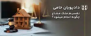 تقسیم ملک مشاع چگونه انجام میشود
