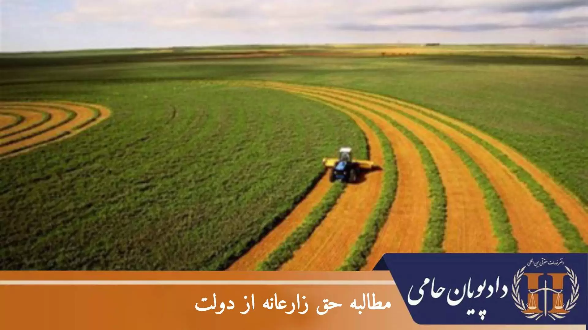 مطالبه حق زارعانه از دولت