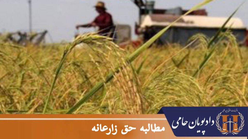 مطالبه حق زارعانه
