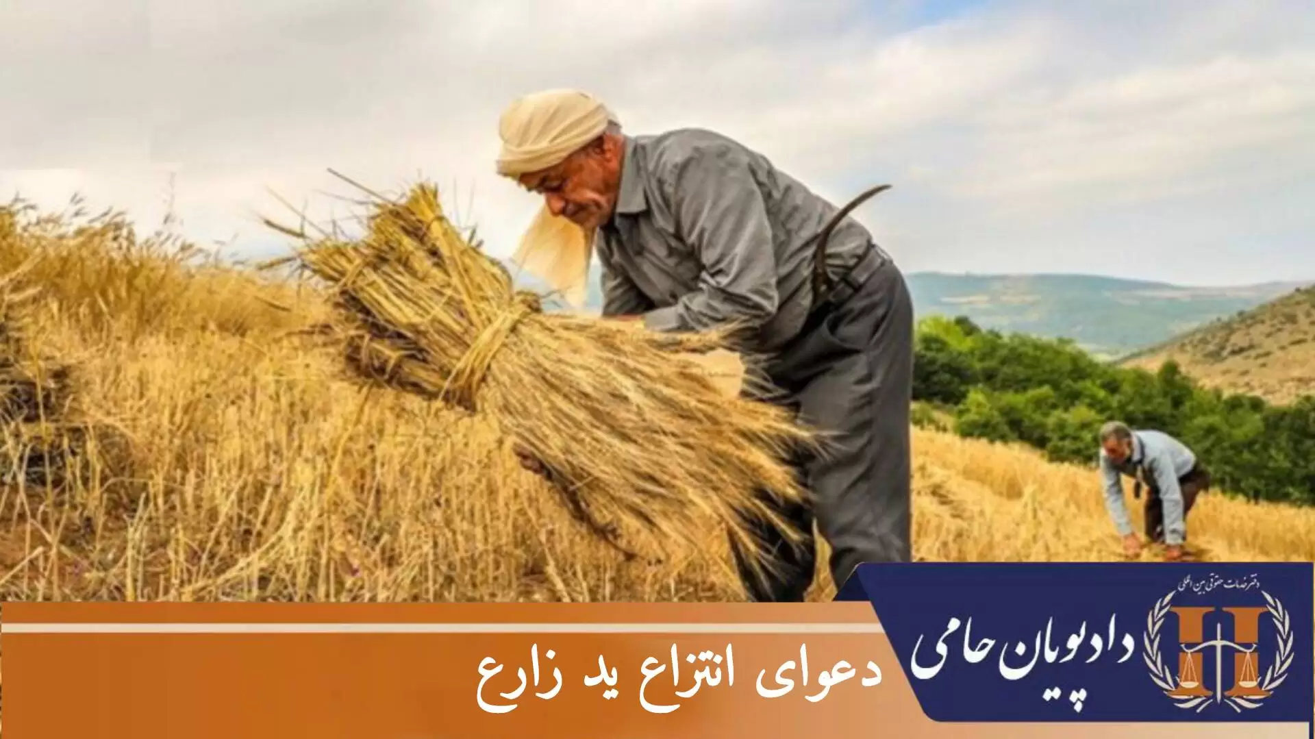 دعوای انتزاع ید زارع