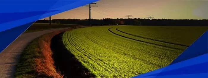 جرایم ثبتی علیه اراضی ملی