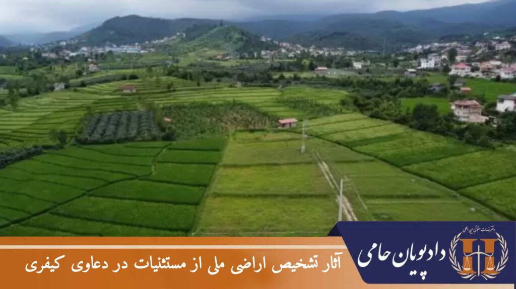 آثار تشخیص اراضی ملی از مستثنیات در دعاوی کیفری