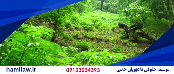 سند رسمی مالکیت در اراضی ملی 1 سند رسمی مالکیت در اراضی ملی