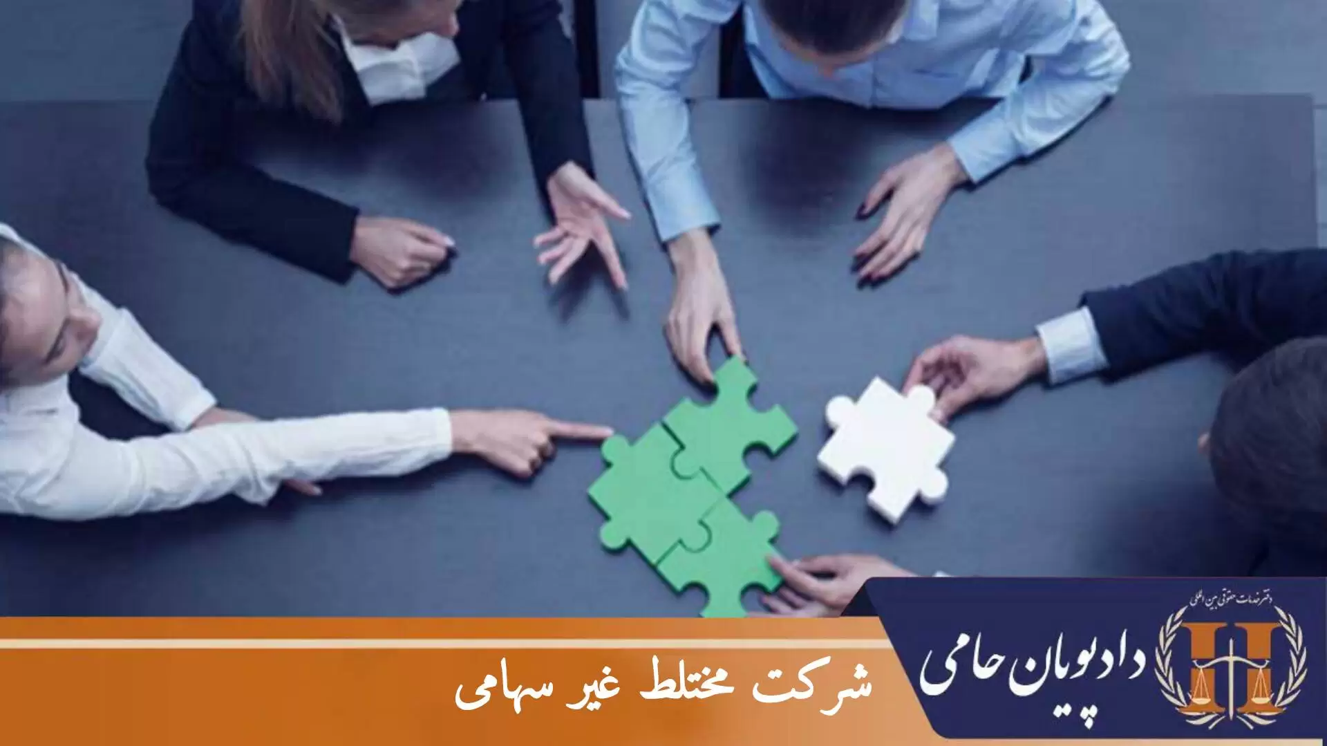 شرکت مختلط غیر سهامی