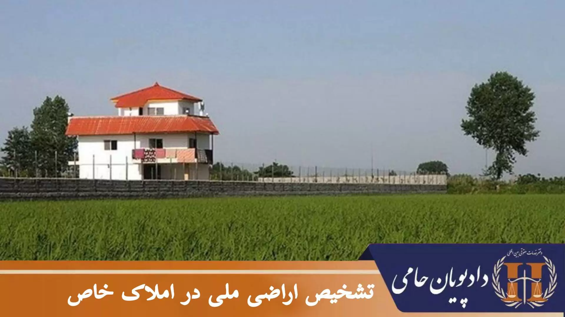 تشخیص اراضی ملی در املاک خاص