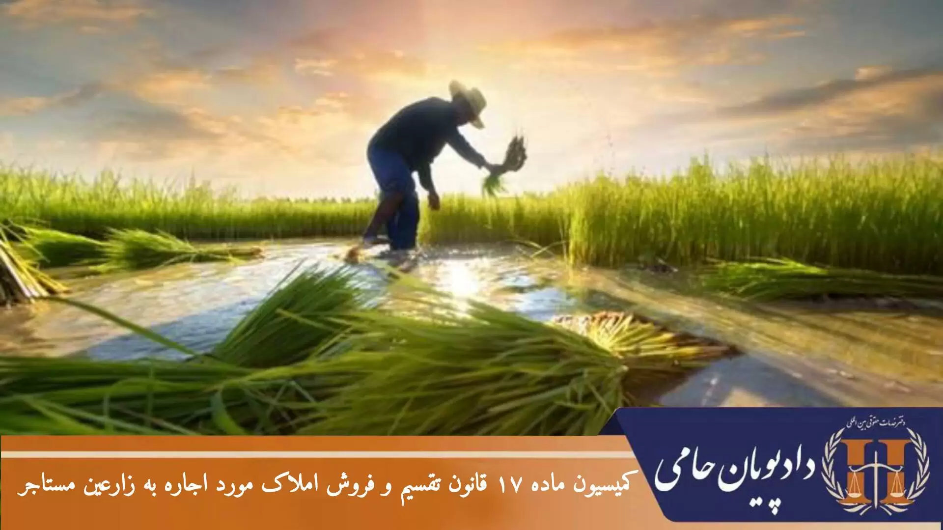 کمیسیون ماده 17 قانون تقسیم و فروش املاک مورد اجاره به زارعین مستاجر