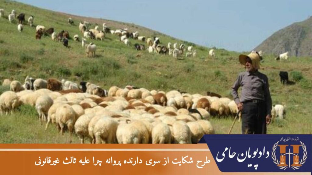طرح شکایت از سوی دارنده پروانه چرا علیه ثالث غیرقانونی