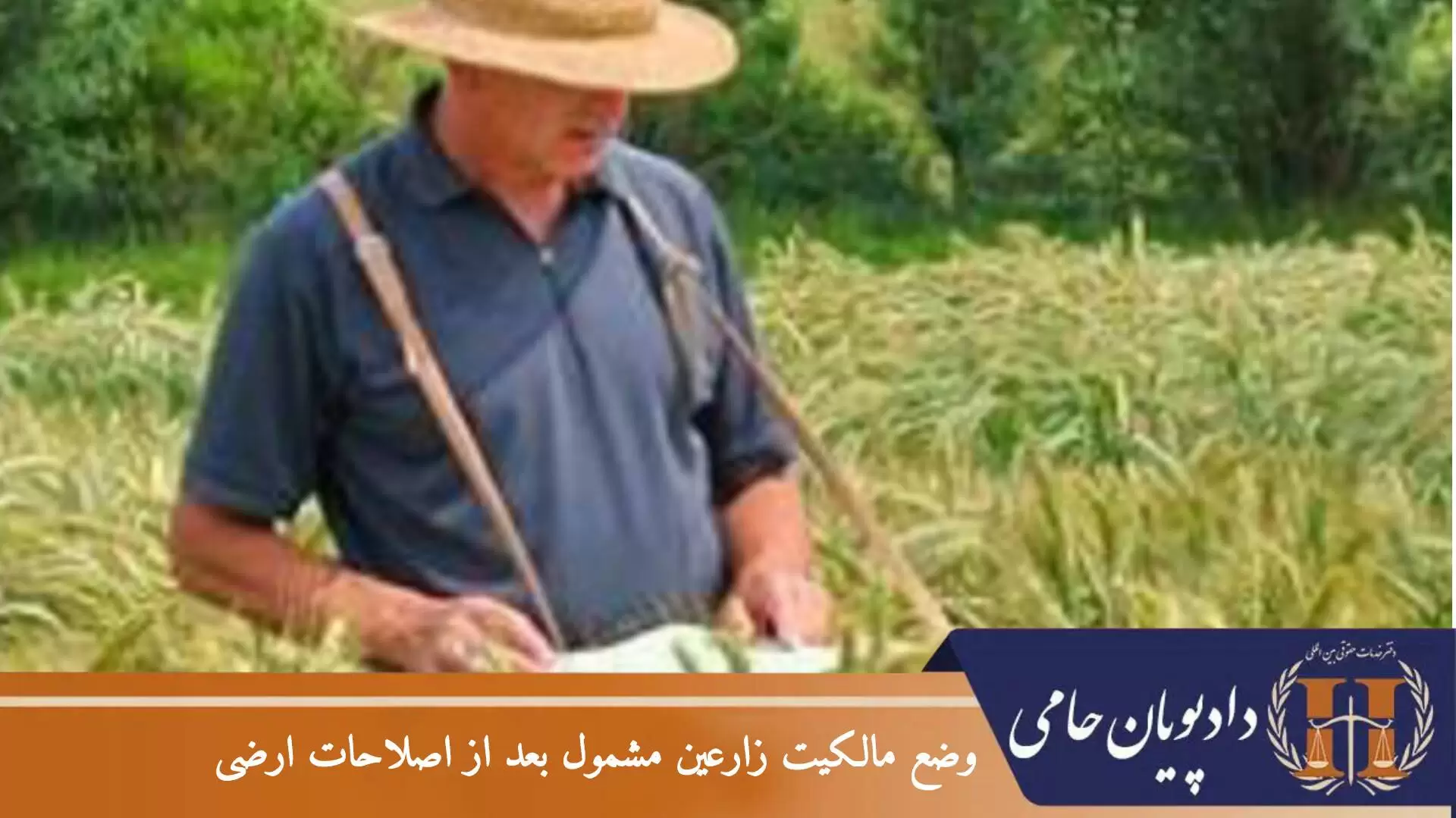 وضع مالکیت زارعین مشمول بعد از اصلاحات ارضی