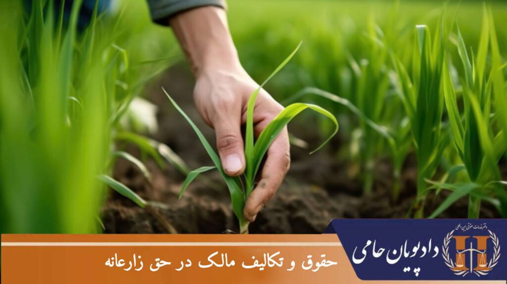 حقوق و تکالیف مالک در حق زارعانه