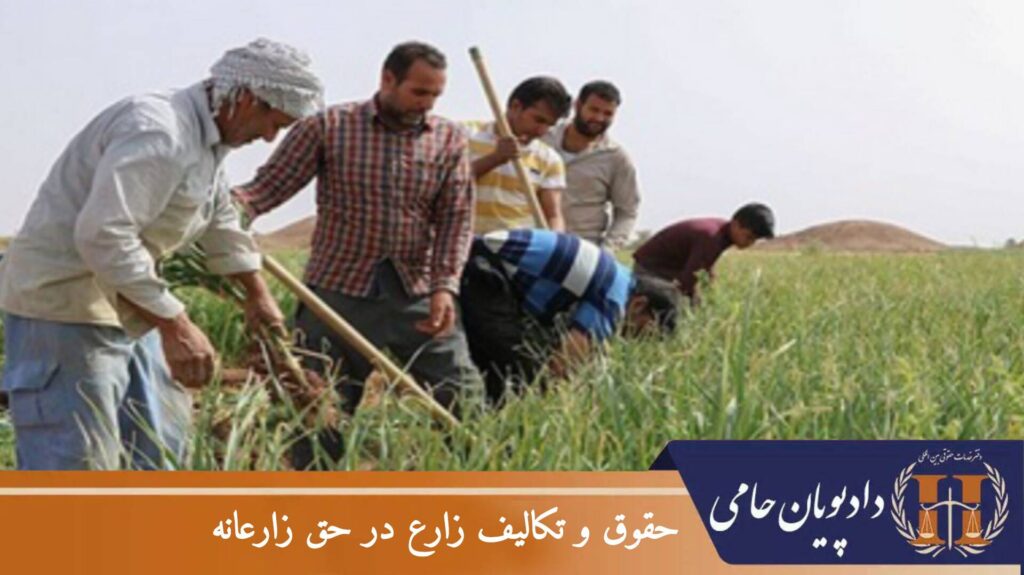 حقوق و تکالیف زارع در حق زارعانه