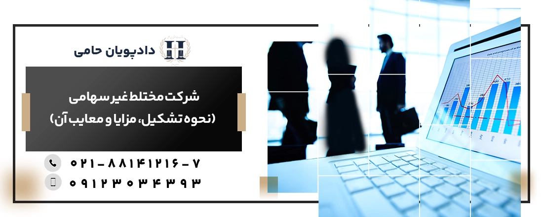 شرکت مختلط غیر سهامی