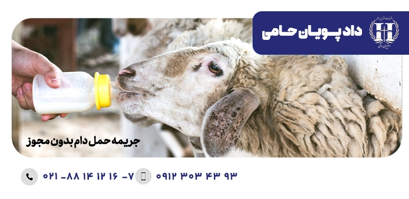 جریمه حمل دام بدون مجوز