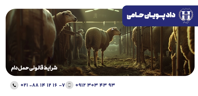 شرایط قانونی حمل دام