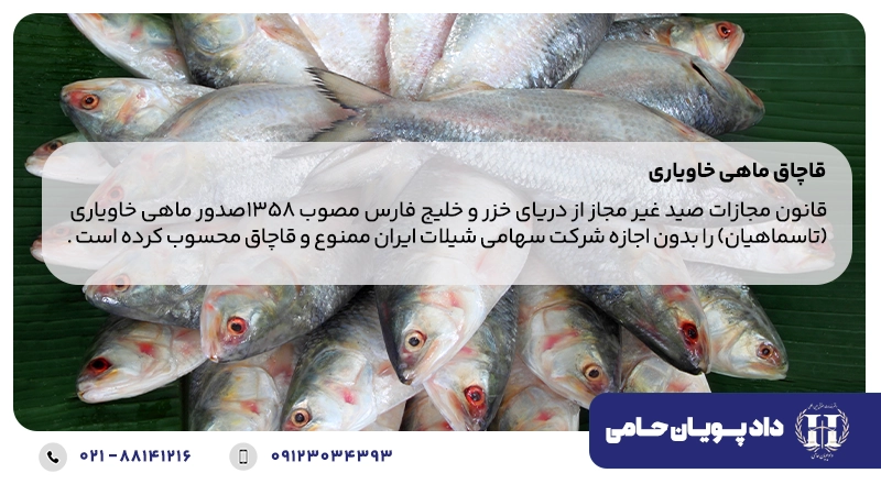 قاچاق ماهی خاویاری