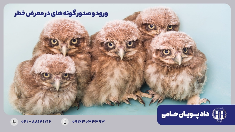 ورود و صدور گونه های در معرض خطر