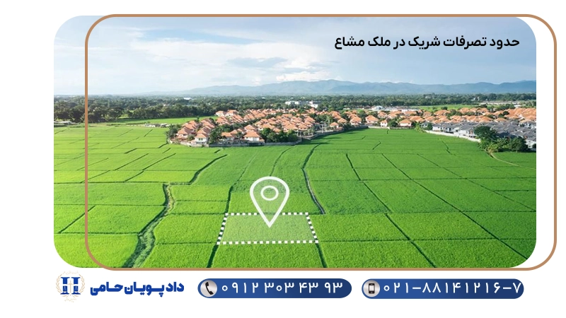 حدود تصرفات شریک در ملک مشاع
