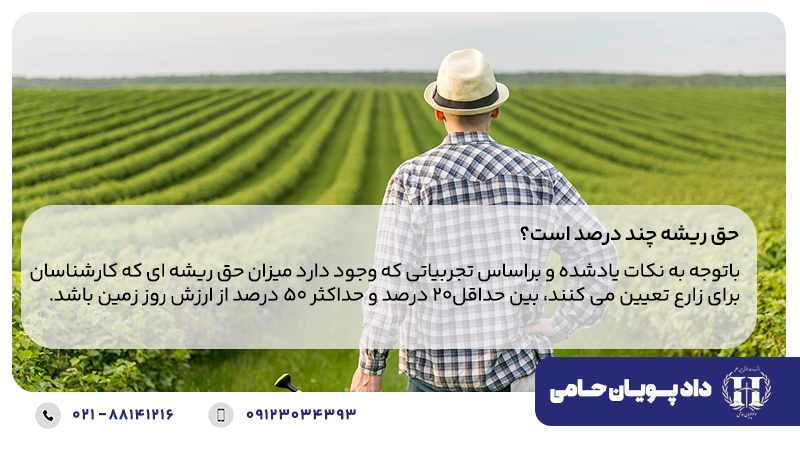 حق ریشه چند درصد است؟