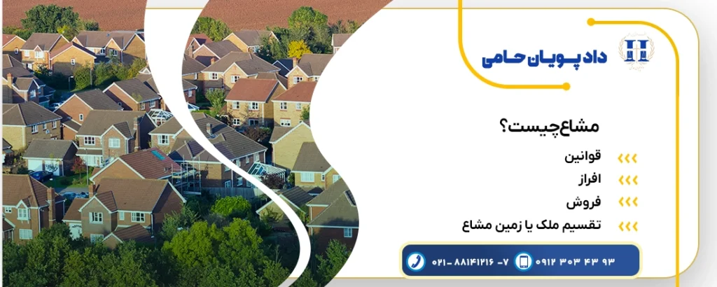 همه چیز در مورد مشاع