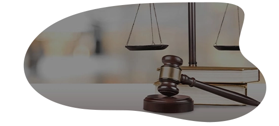وکیل متخصص مالیاتی