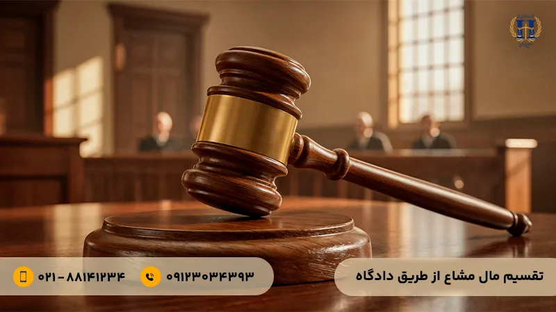 نحوه تقسیم ملک مشاع از طریق دادگاه